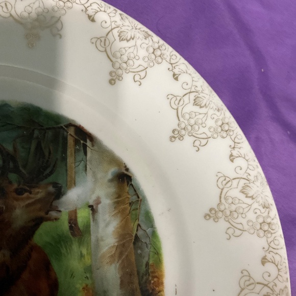 8.5” Bavarian decorative plate. H161 - Picture 3 of 4